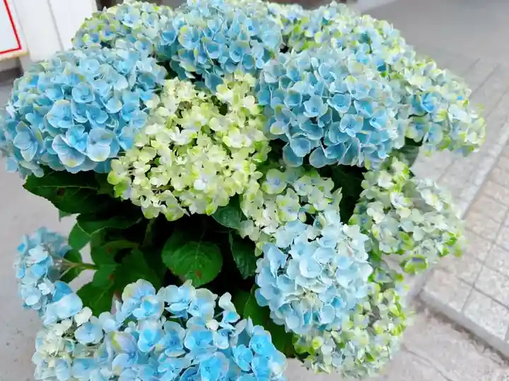 東海市熊野神社(愛知県)