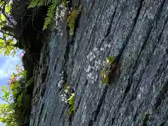 山家神社奥宮の自然