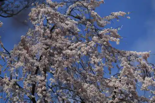 三春大神宮の庭園