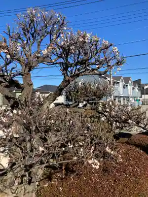 極楽寺(神奈川県)