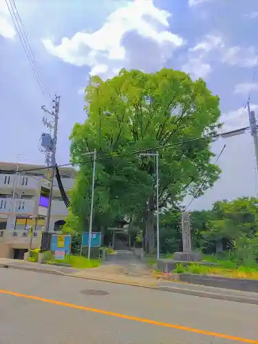 須佐之男神社の自然
