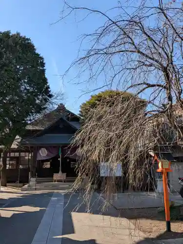 猿田彦神社(東京都)