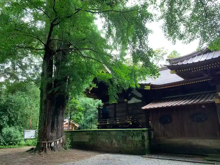 玉敷神社の本殿・本堂