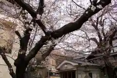 墨染寺（桜寺）の建物その他