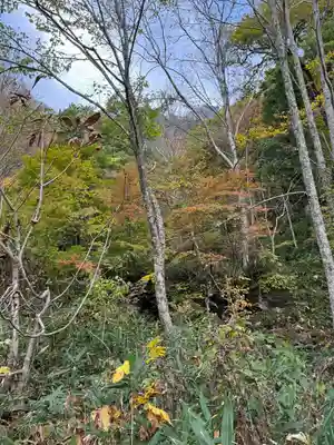 戸隠神社九頭龍社(長野県)