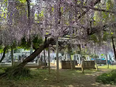 実相寺(千葉県)