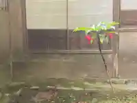 西芳寺のその他建物