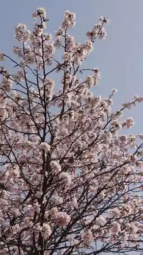 相馬神社の自然