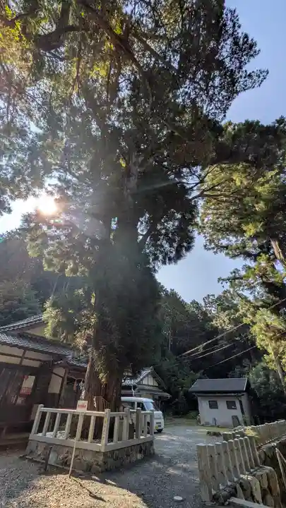 愛宕神社(阿多古神社)(京都府)