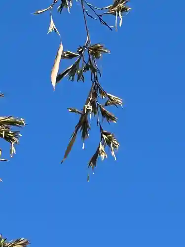 国宝 大法寺(長野県)