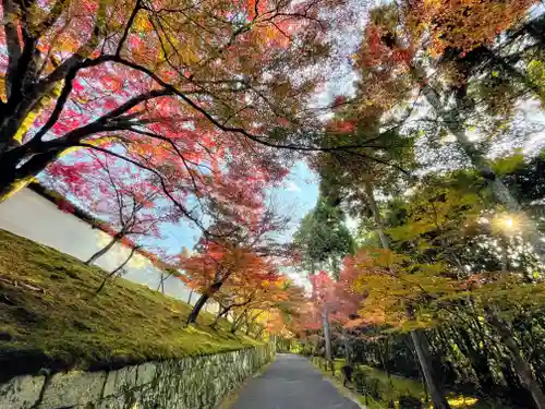 曼殊院門跡のその他建物