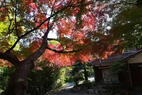 智光院(山口県)