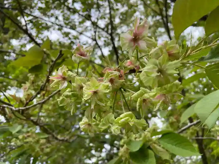 歌泉堂(春日大社神苑萬葉植物園内鎮座)(奈良県)