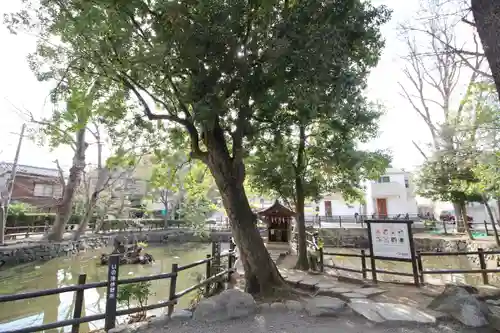 師岡熊野神社(神奈川県)