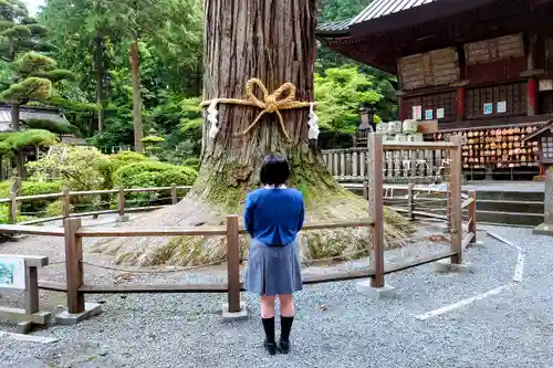 北口本宮冨士浅間神社の自然