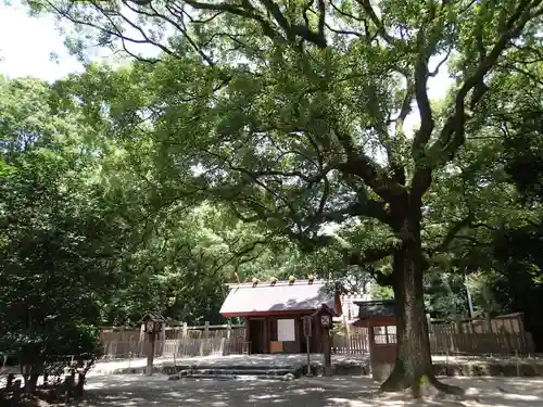 熱田神宮の自然