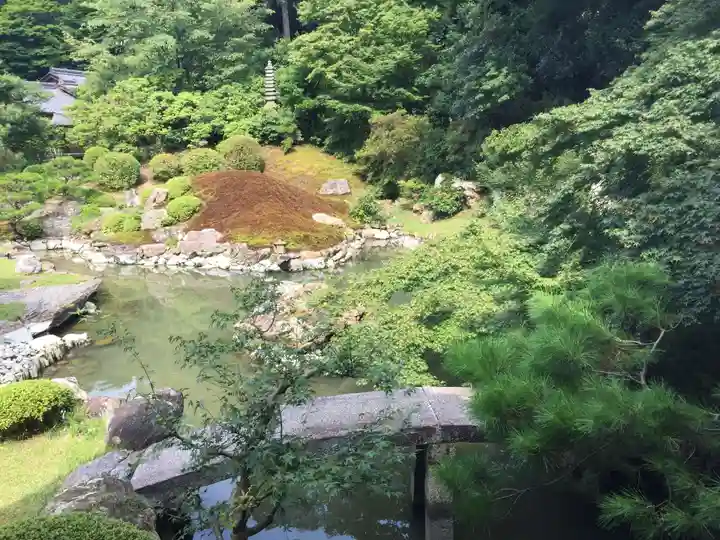 青蓮院門跡の庭園