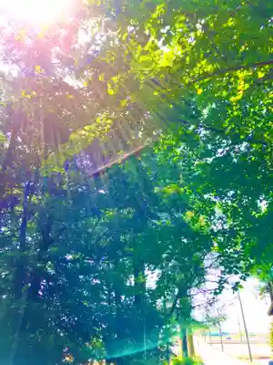 下野 星宮神社(栃木県)