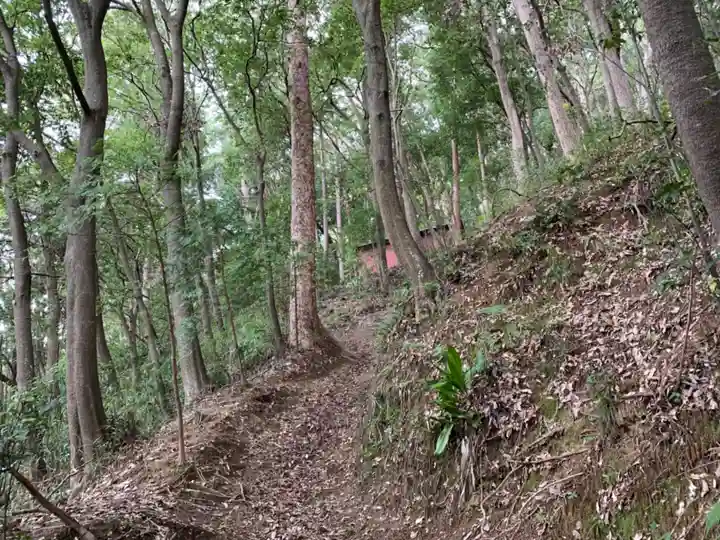 八幡神社の周辺