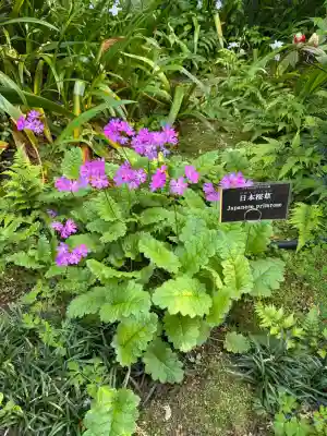 上野東照宮の{uncategorized: "未分類", other: "その他", undefined: "問題あり", building: "その他建物", grave: "お墓", sacred_gate: "鳥居", guardian: "狛犬", statue: "像", buddha: "仏像", history: "歴史", nature: "自然", garden: "庭園", animal: "動物", pagoda: "塔", temizu: "手水舎", mountain_gate: "山門・神門", sanctuary: "本殿・本堂", subordinate: "末社・摂社", art: "芸術", scenery: "景色", jizo: "地蔵", ema: "絵馬", goshuin: "御朱印", omikuji: "おみくじ", items: "授与品その他", amulet: "お守り", goshuincho: "御朱印帳", eats: "食事", festival: "お祭り", votive_dance: "神楽", shichigosan: "七五三参", wedding: "結婚式", experience: "体験その他", initially: "初詣", around: "周辺", anti_infection: "感染症対策"}
