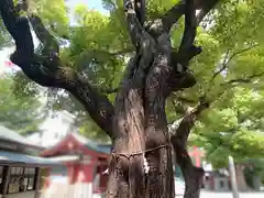 御霊神社(大阪府)