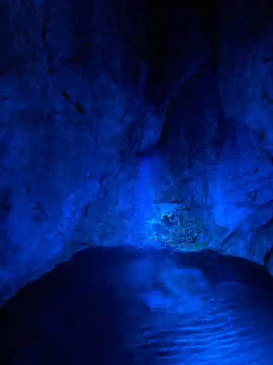 龍王神社の自然