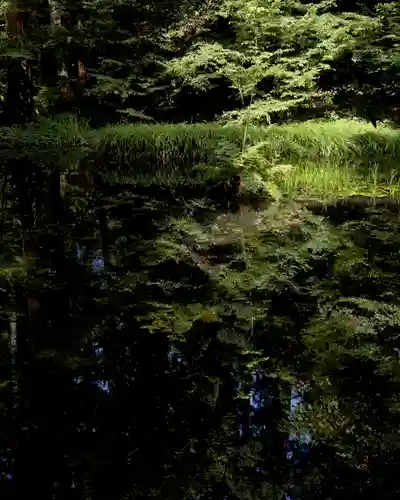 平泉寺白山神社(福井県)