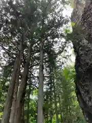 中之嶽神社の自然