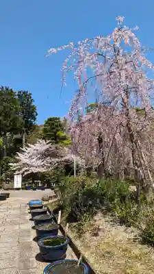 法金剛院(京都府)