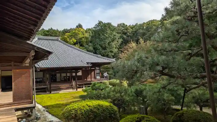 隨心院(随心院)(京都府)