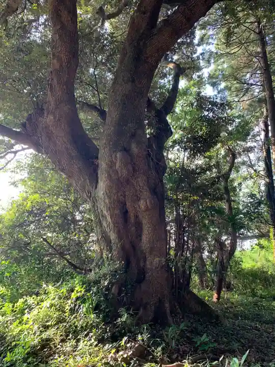 神社(名称不明)(千葉県)