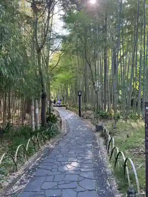 修禅寺の{uncategorized: "未分類", other: "その他", undefined: "問題あり", building: "その他建物", grave: "お墓", sacred_gate: "鳥居", guardian: "狛犬", statue: "像", buddha: "仏像", history: "歴史", nature: "自然", garden: "庭園", animal: "動物", pagoda: "塔", temizu: "手水舎", mountain_gate: "山門・神門", sanctuary: "本殿・本堂", subordinate: "末社・摂社", art: "芸術", scenery: "景色", jizo: "地蔵", ema: "絵馬", goshuin: "御朱印", omikuji: "おみくじ", items: "授与品その他", amulet: "お守り", goshuincho: "御朱印帳", eats: "食事", festival: "お祭り", votive_dance: "神楽", shichigosan: "七五三参", wedding: "結婚式", experience: "体験その他", initially: "初詣", around: "周辺", anti_infection: "感染症対策"}