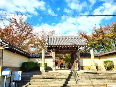 教信寺の山門・神門