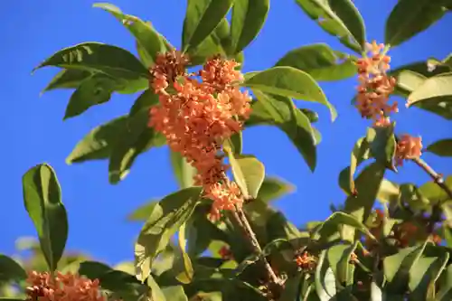 豊景神社(福島県)