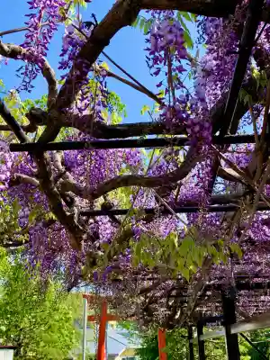 諏訪神社(宮城県)
