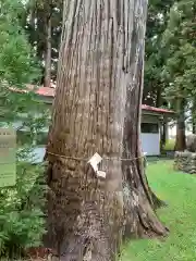 稲葉神社の建物その他