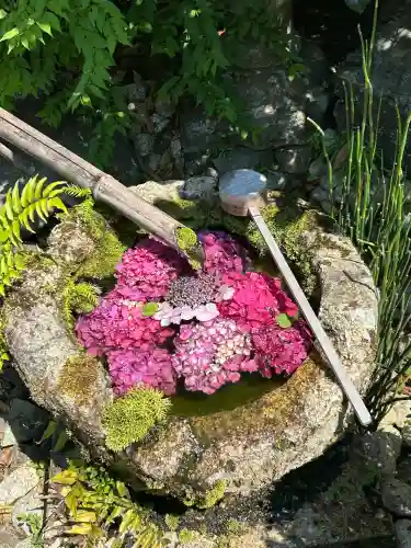 柳谷観音　楊谷寺(京都府)