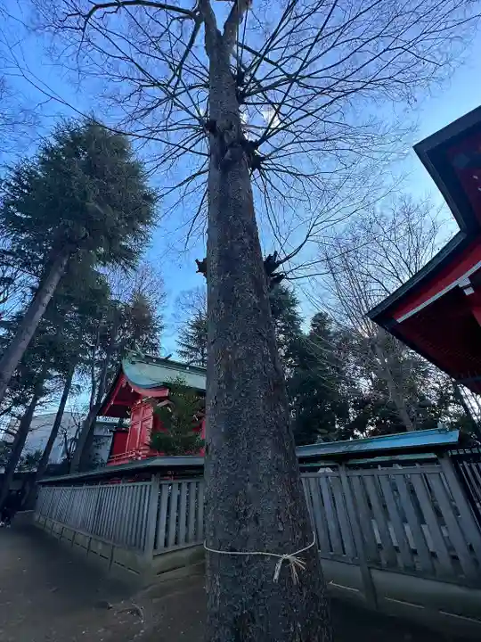 小野神社(東京都)