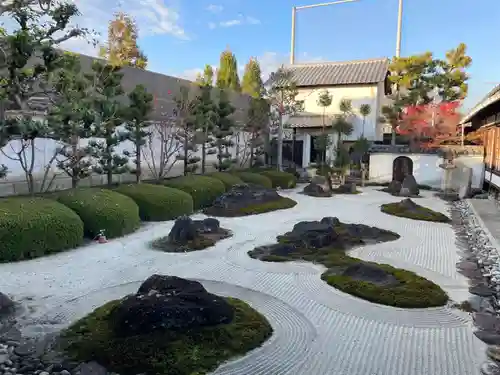 妙蓮寺(京都府)