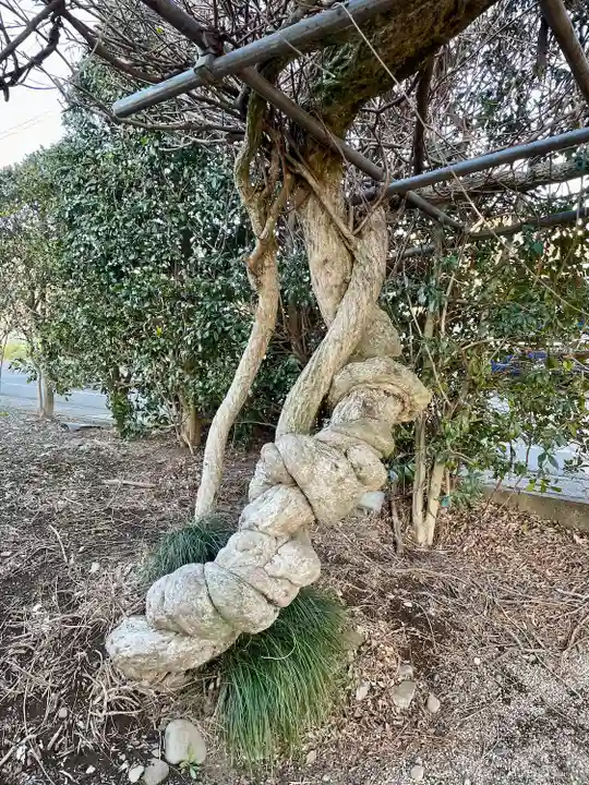 全水寺(栃木県)