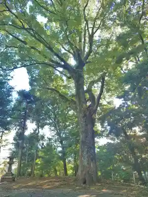 居神神社(神奈川県)