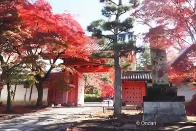 真正極楽寺(真如堂)の山門・神門