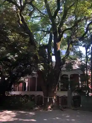 乃木神社(東京都)
