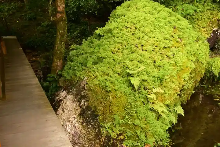 乘臺寺(高知県)