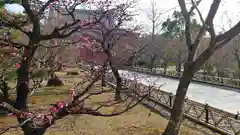 根来寺 智積院の周辺