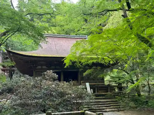室生寺(奈良県)