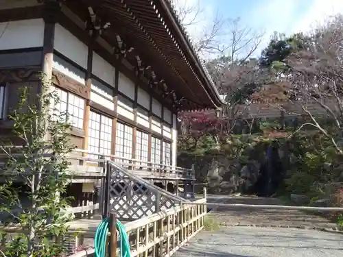 妙蓮寺の庭園