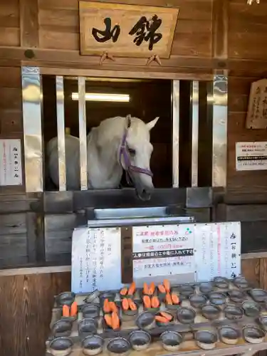 多度大社(三重県)