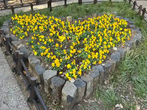 川越八幡宮(埼玉県)