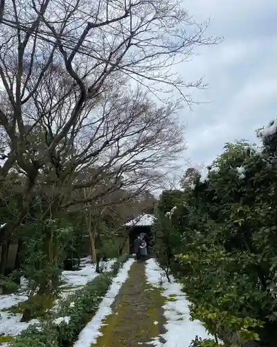 大光院(京都府)